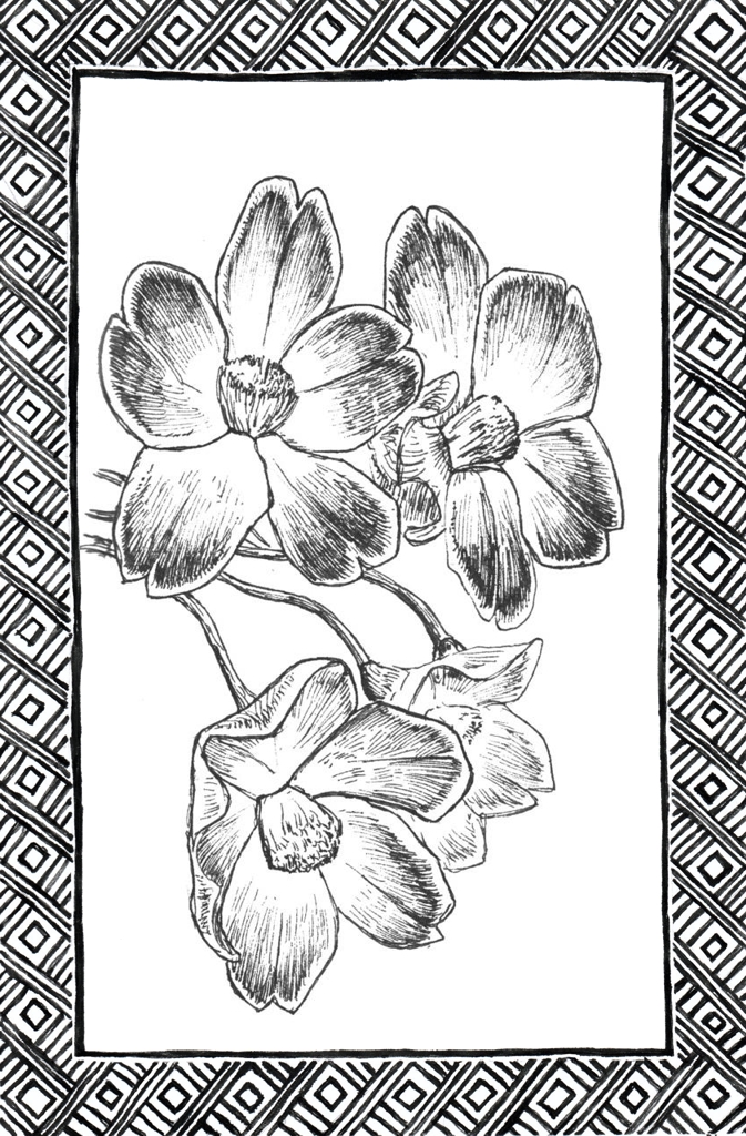 Slide 8